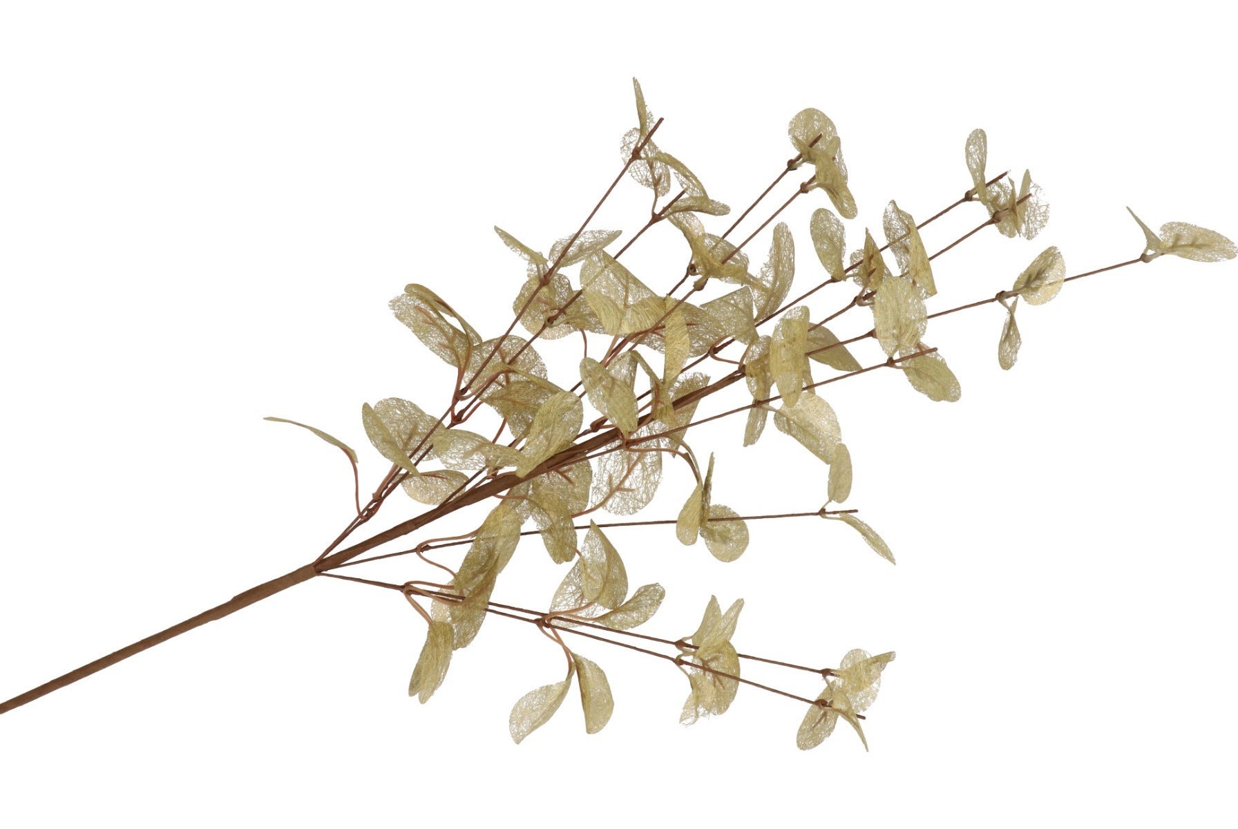 Kunsttak Silk Euca Cinerea Goud 72cm