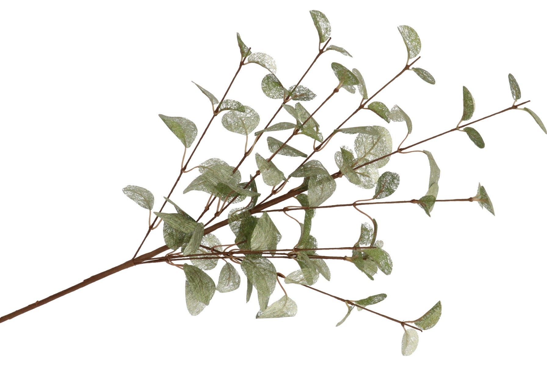 Kunsttak Silk Euca Cinerea Groen 72cm