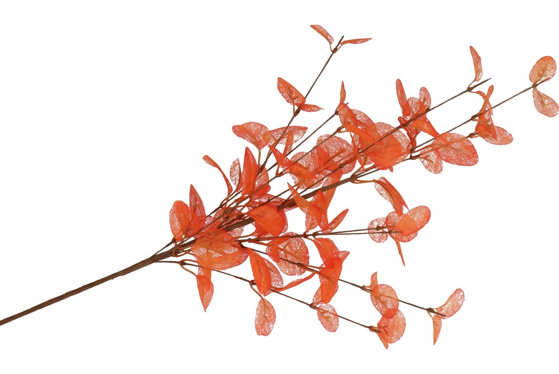 Kunsttak Silk Euca Cinerea Oranje 72cm