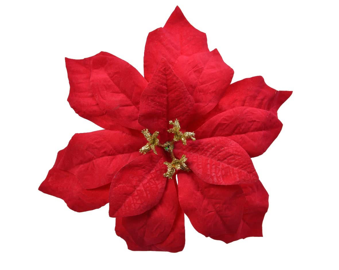Decoris Kerstster poinsettia op clip velvet 16 cm