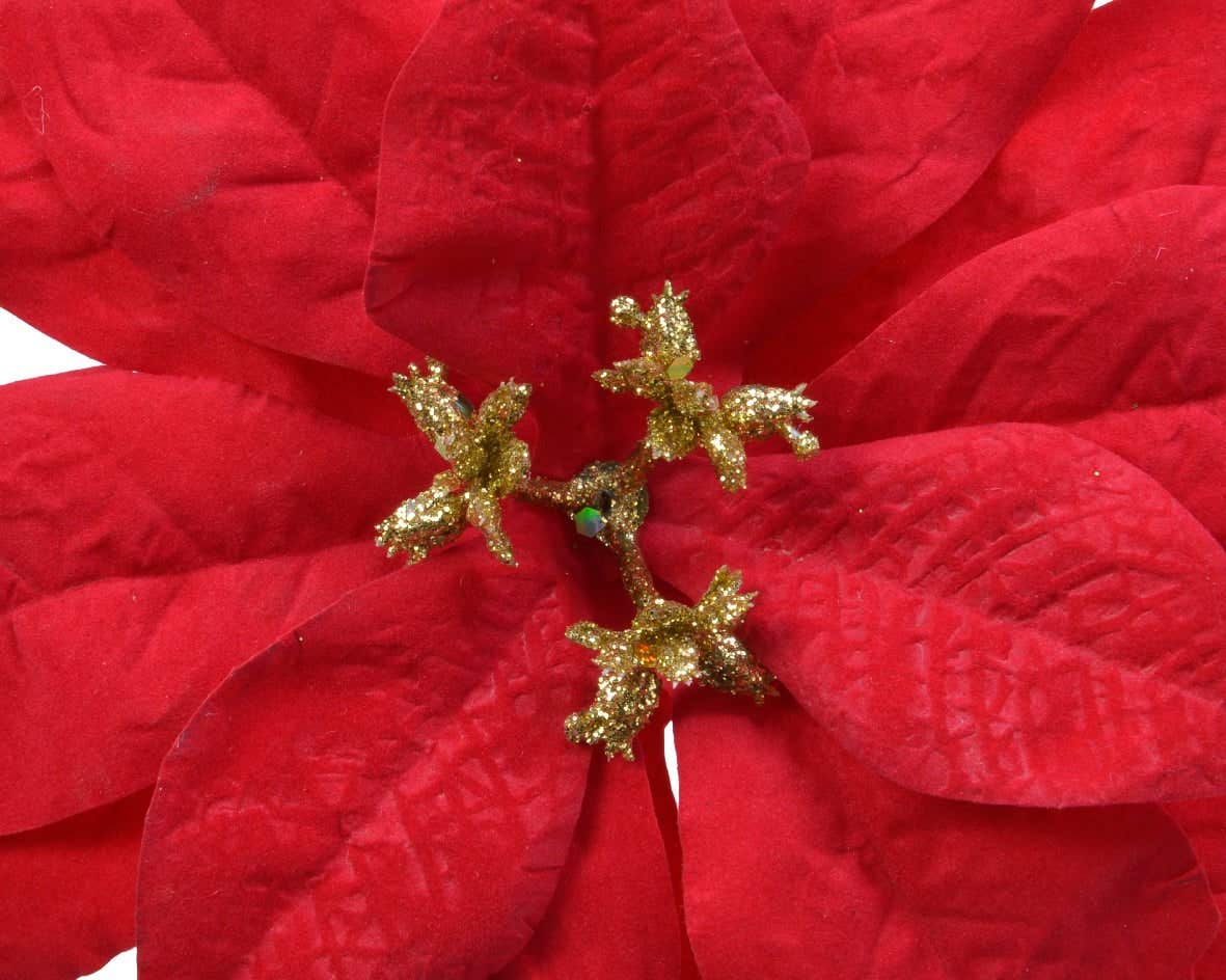 Decoris Kerstster poinsettia op clip velvet 16 cm