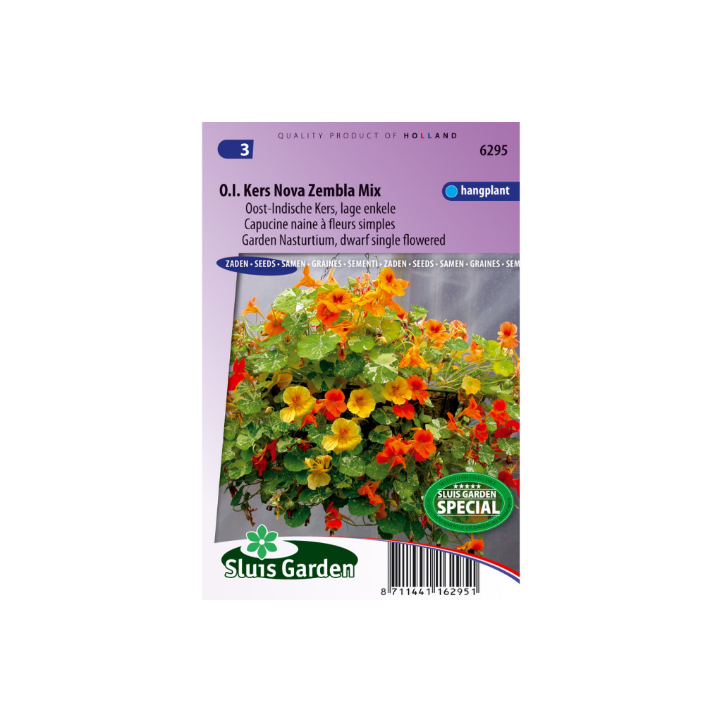 Tropaeolum minus Nova Zembla