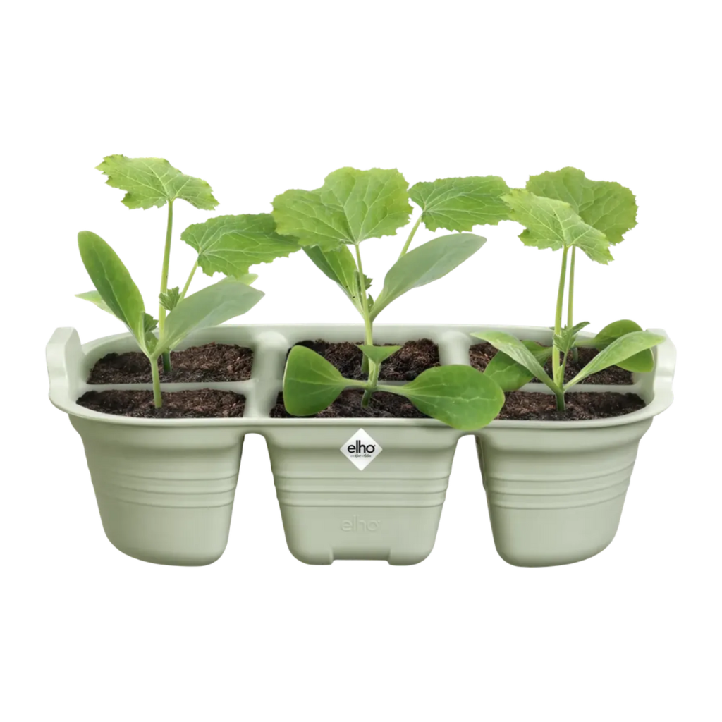 Elho Green Basics Zaaitray groen 22 cm