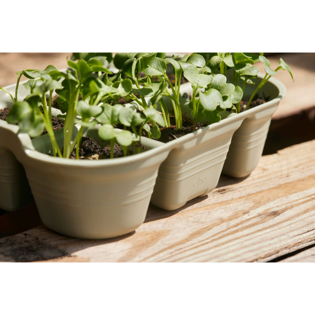 Elho Green Basics Zaaitray groen 22 cm