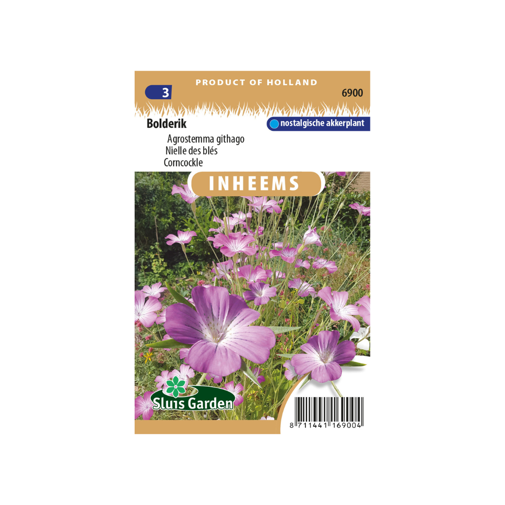 Agrostemma githago Bolderik