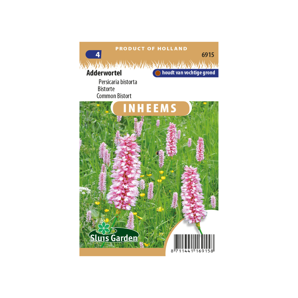 Persicaria bistorta Adderwortel