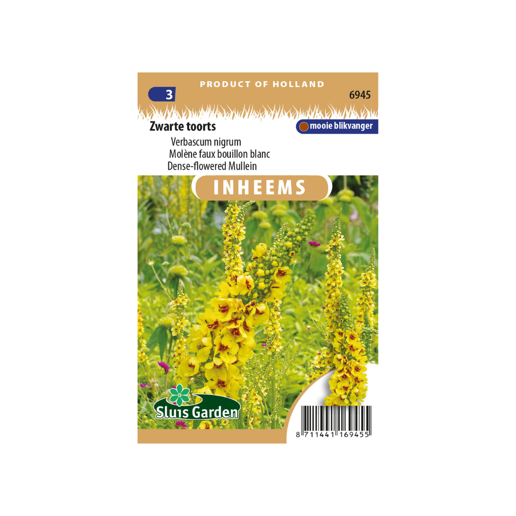 Verbascum nigrum Zwarte toorts