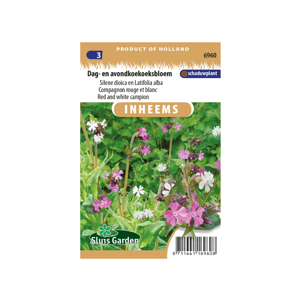 Silene Dag/avondkoekoeksbloem