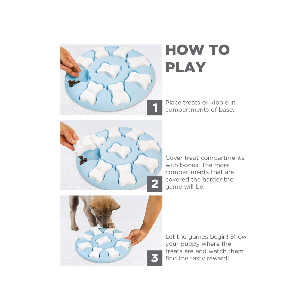Gebr de Boon Puppyspel Puppy Smart Blauw