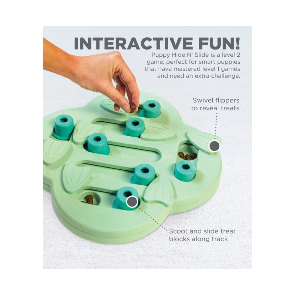 Gebr de Boon Puppyspel Puppy Hide N Slide Groen