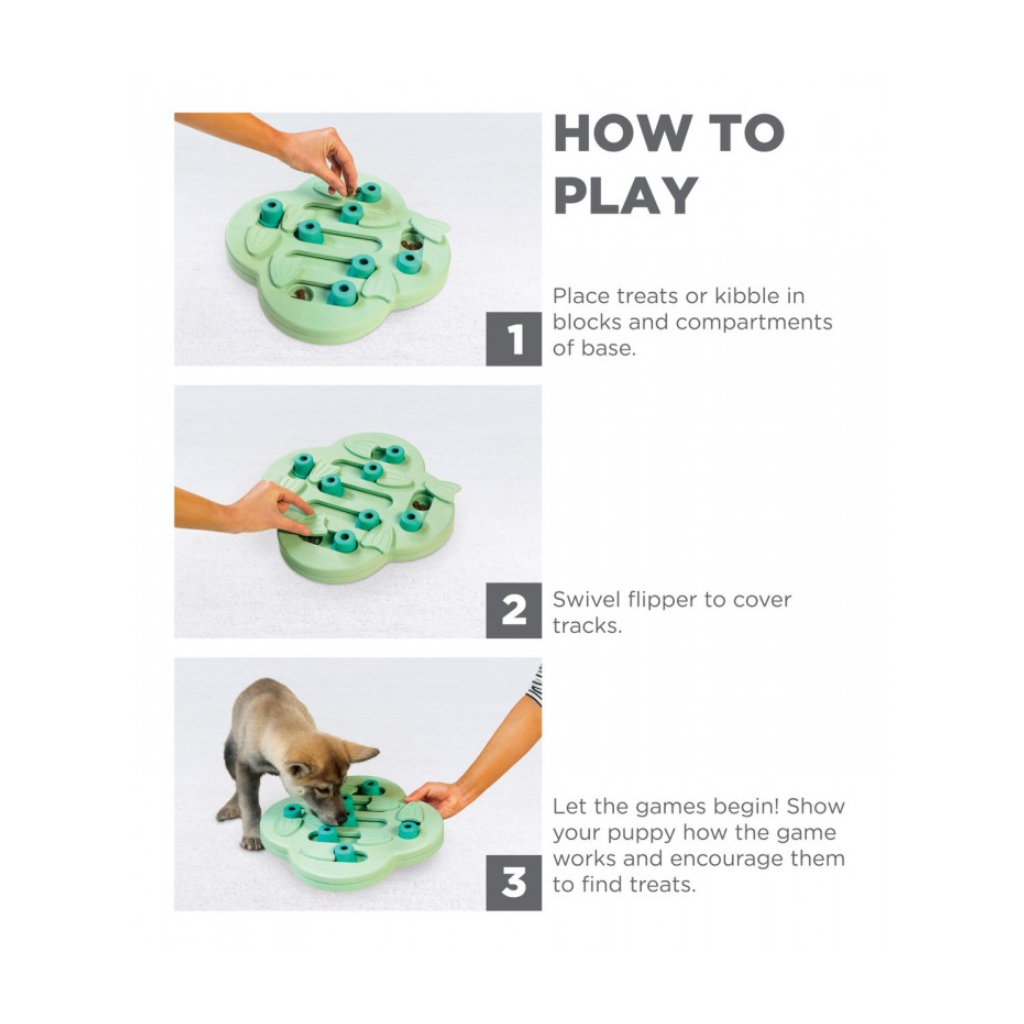 Gebr de Boon Puppyspel Puppy Hide N Slide Groen