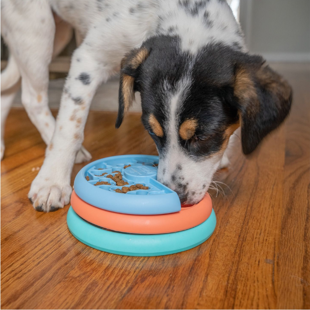 Outward Hound Nina Ottosson Puppy Lickin'Layers 1St