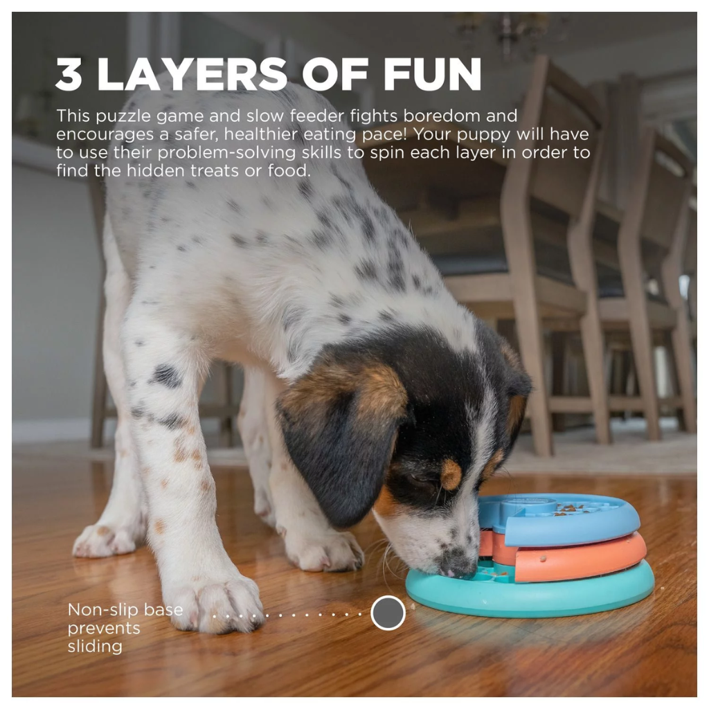 Outward Hound Nina Ottosson Puppy Lickin'Layers 1St