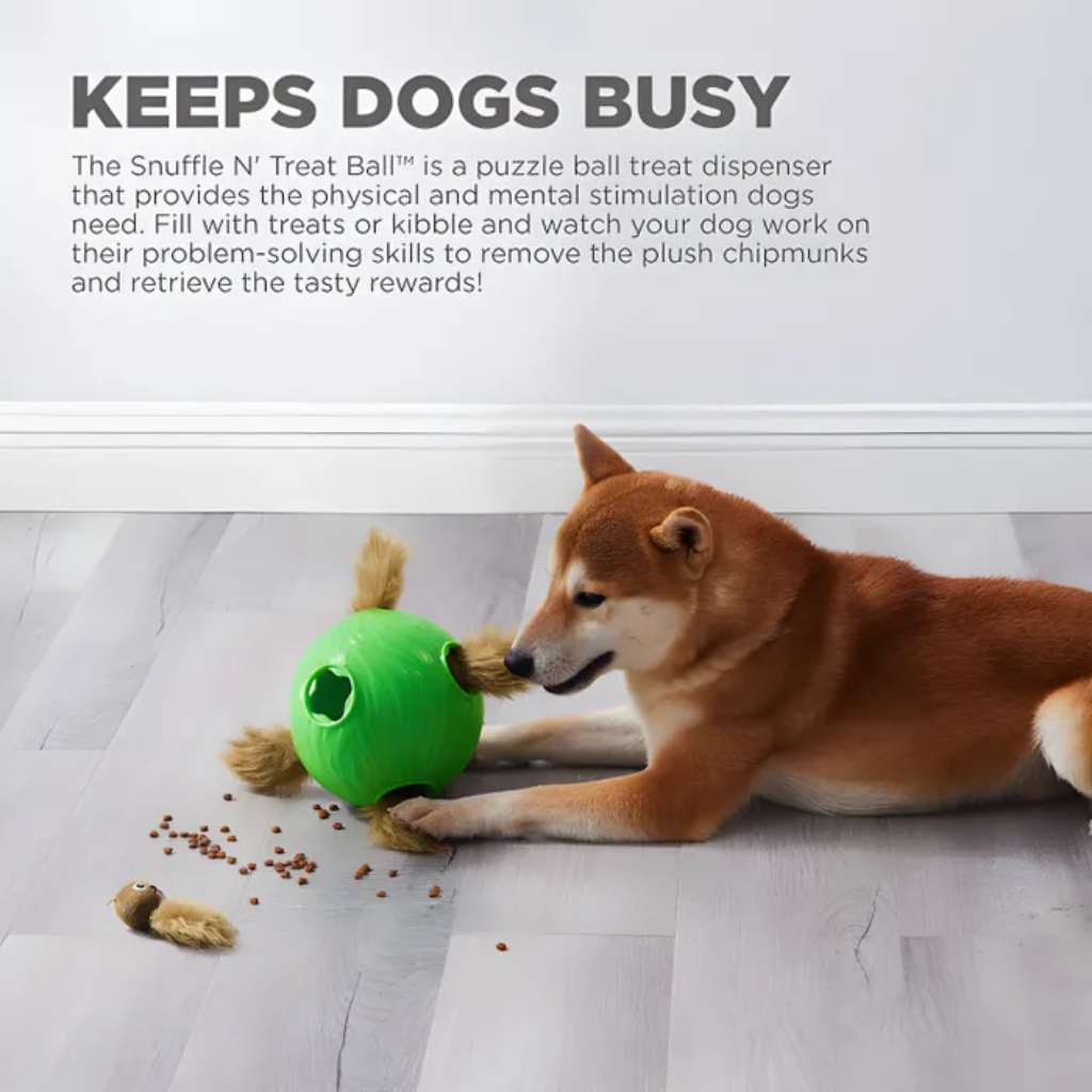 Nina Ottosson hondenspel dog snuffle n'treat ball