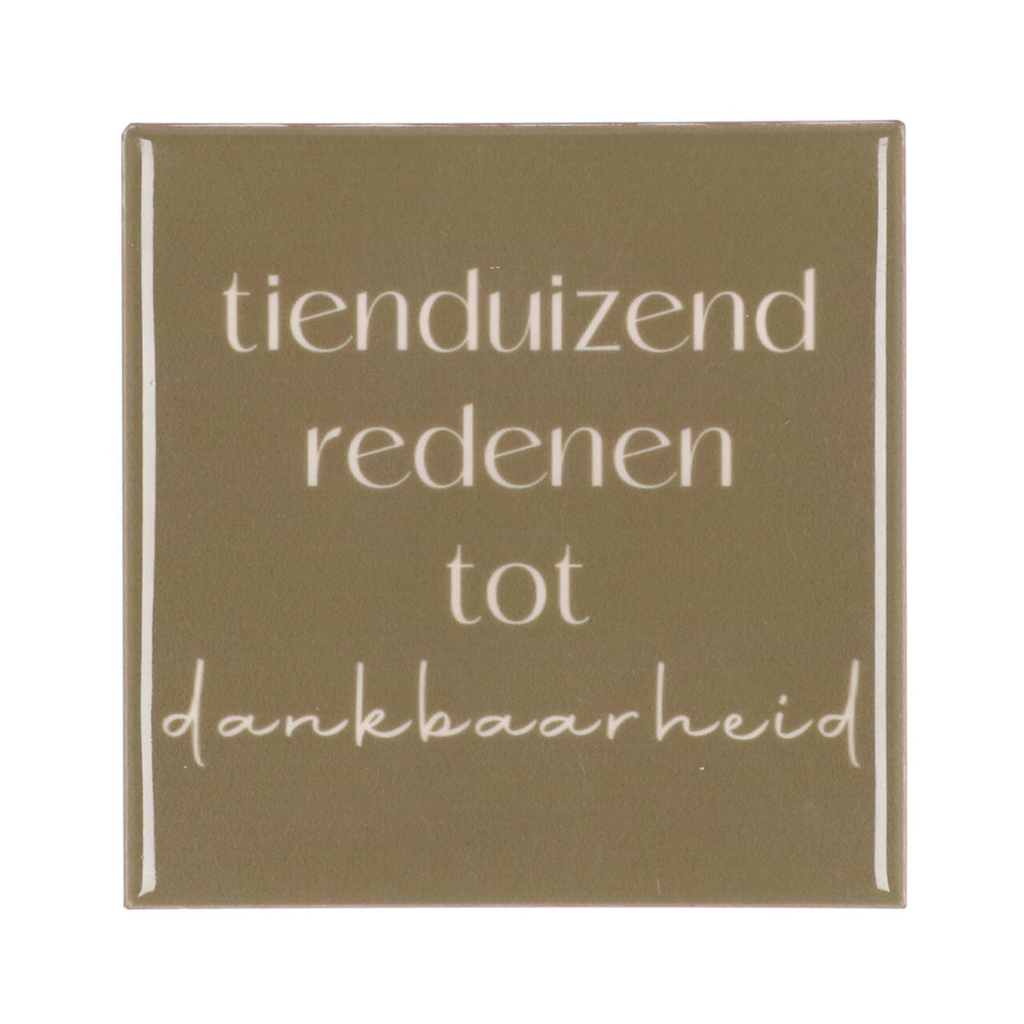 Tegel Tienduizend Bruin 10 x 10 cm