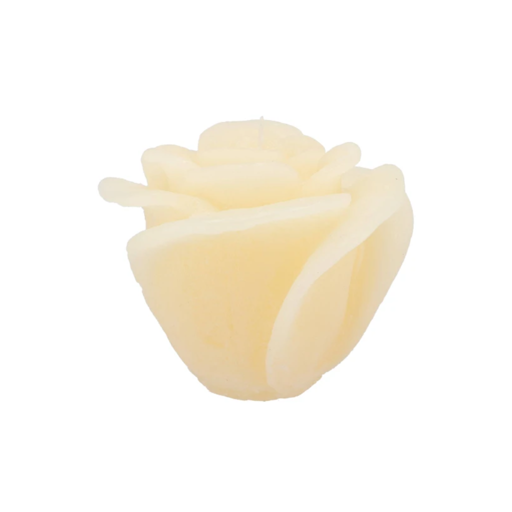 Rooskaars Ivory 14 x 12 cm
