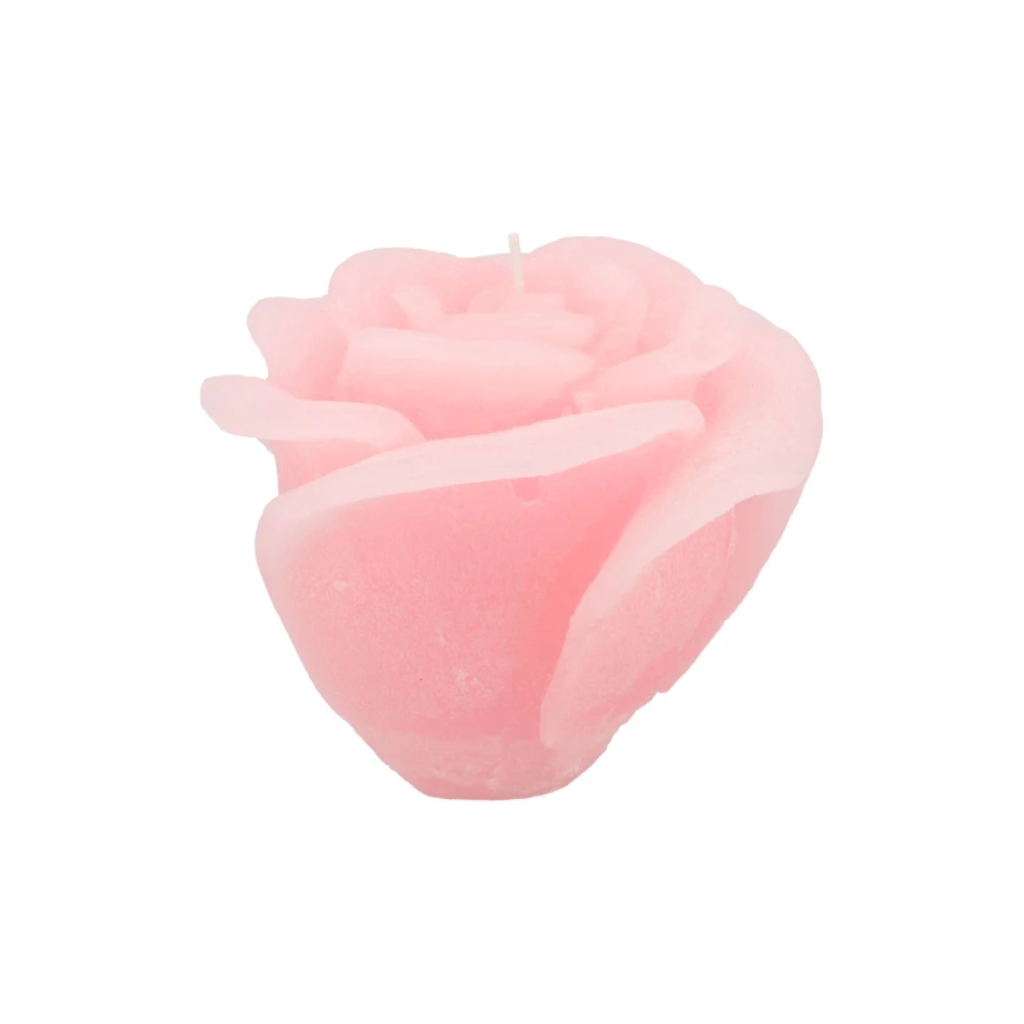 Rooskaars White Pink 14 x 12 cm