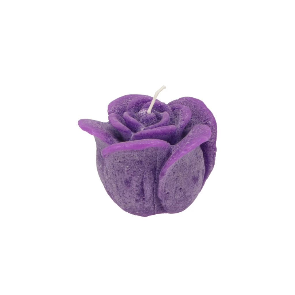 Rooskaars Purple 8 x 7 cm