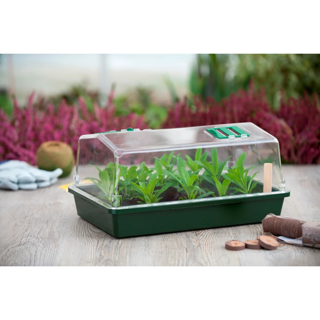 Nature Aero Serre kweekbak 38 x 24 x 18 cm