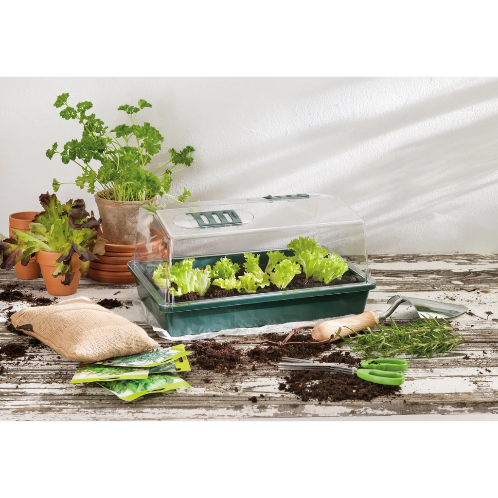 Nature Aero Serre kweekbak 38 x 24 x 18 cm