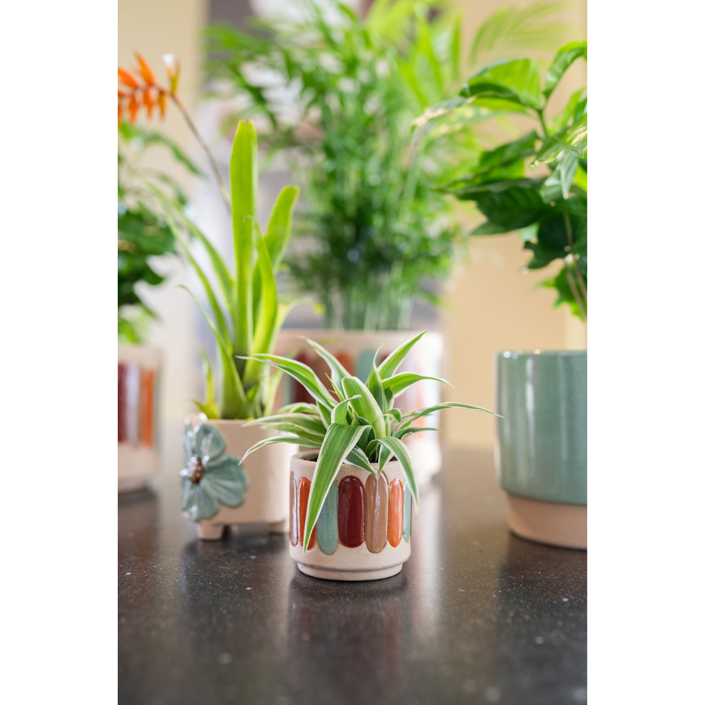 TS Collection Pot Anna Strepen 7 x 6 cm