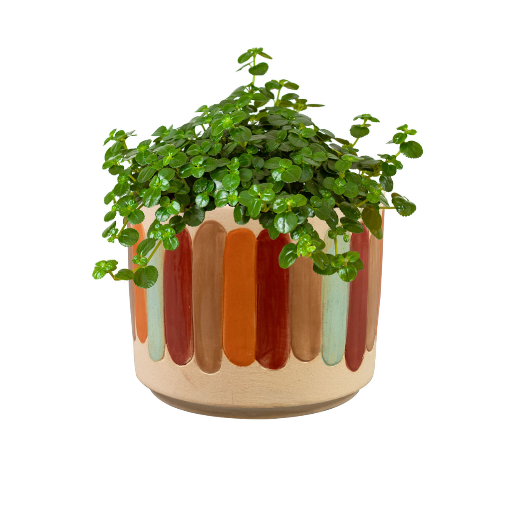 TS Collection Pot Anna Strepen 17 x 15 cm