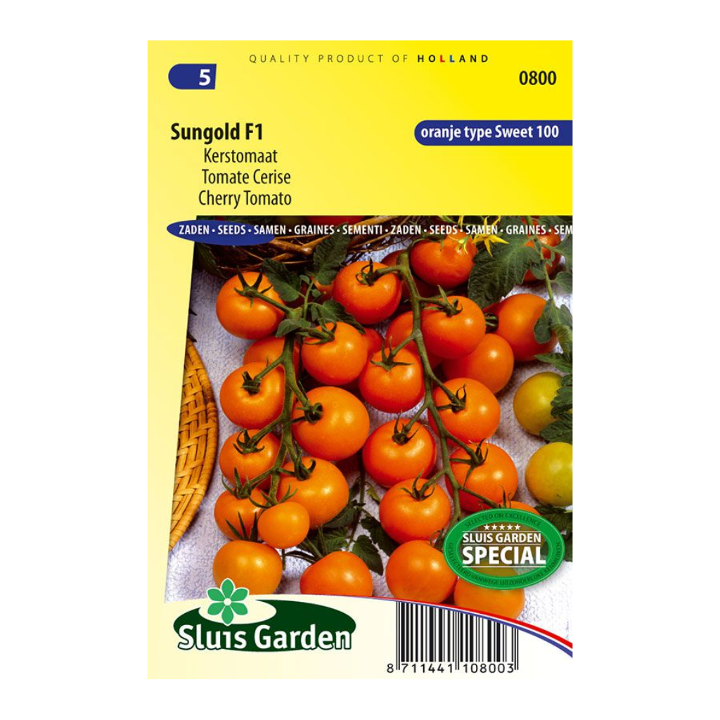 Kerstomaat Sungold F1