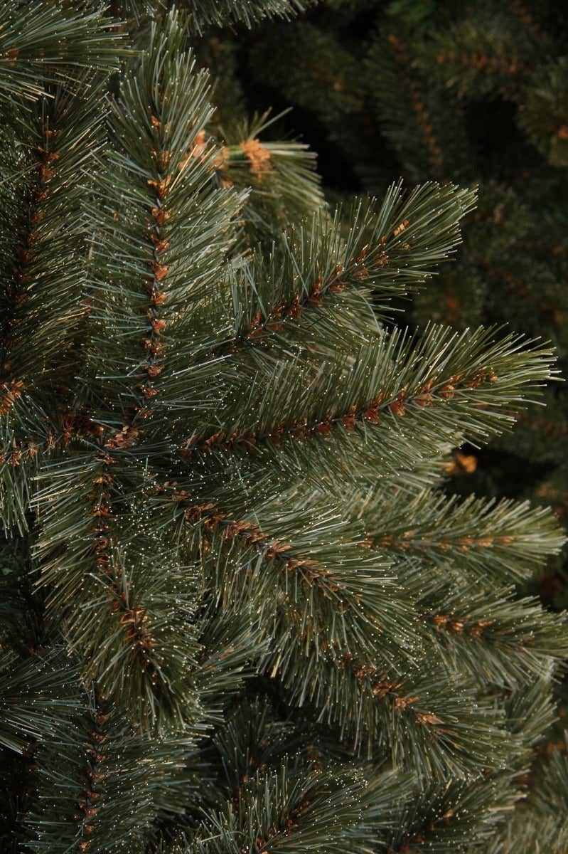 Triumph Tree Kunstkerstboom Forest Frosted Blauw 185 x 130 cm