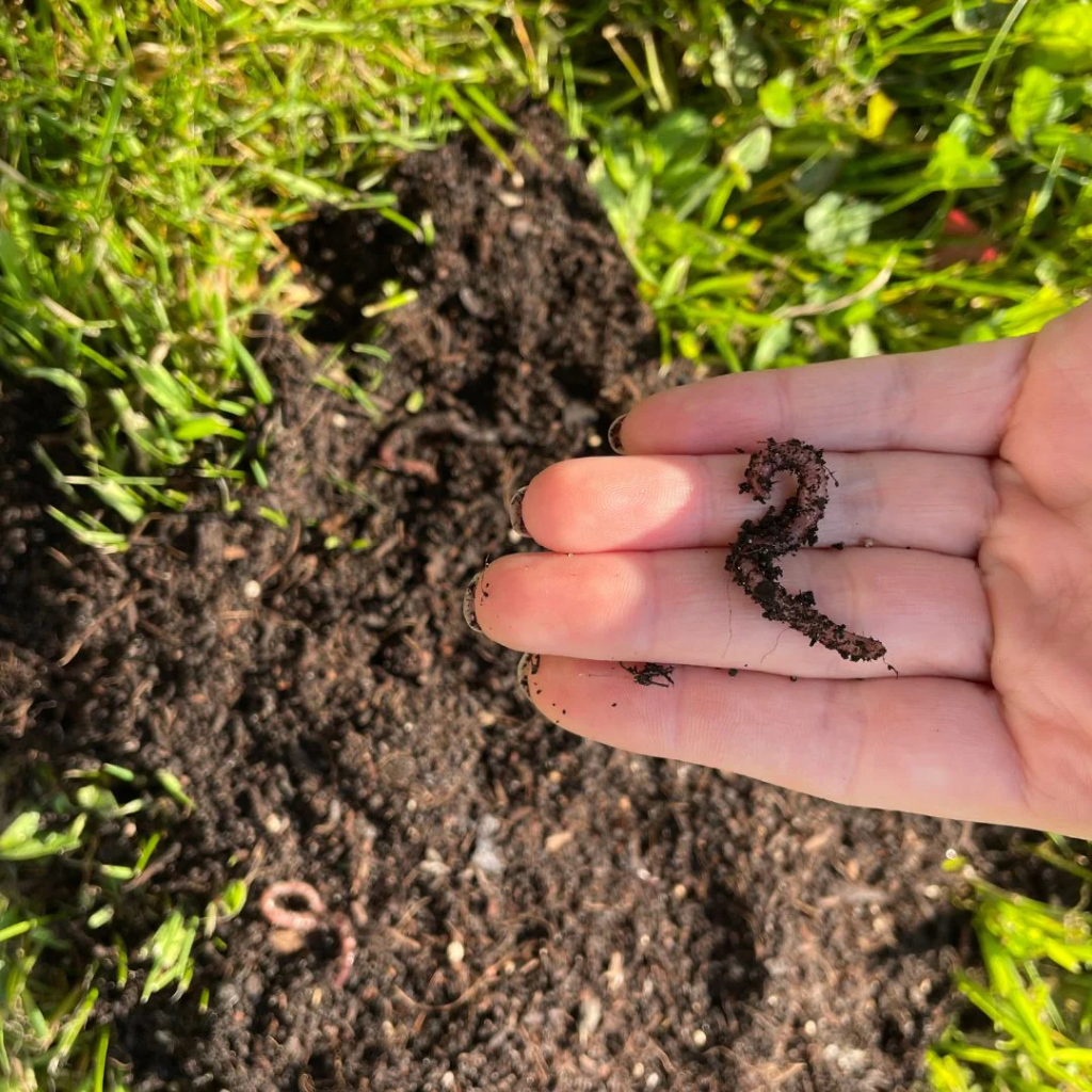 ECOstyle Verse Wormenmix bodemverbetering 1kg