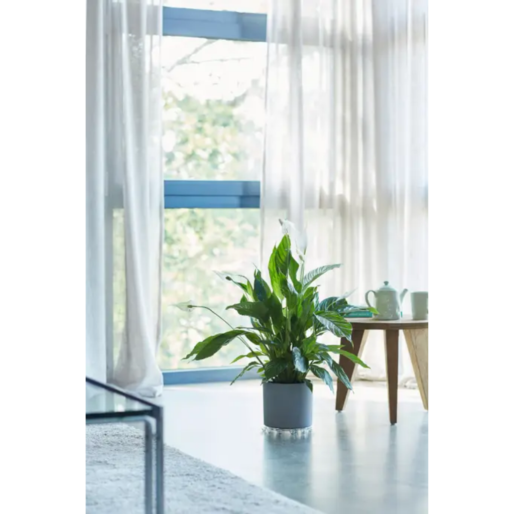 Elho Floorprotector Rond Transparant 15 x 2 cm