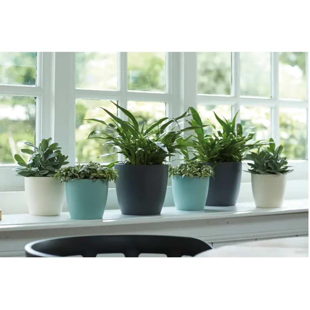 Elho Brussels Rond 22cm Antraciet