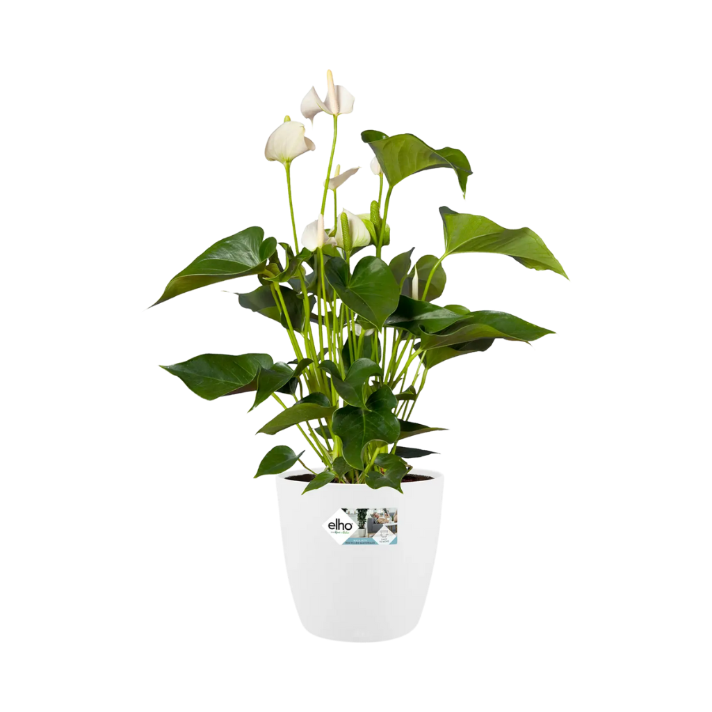 Elho Brussels Rond Wielen 40cm Wit