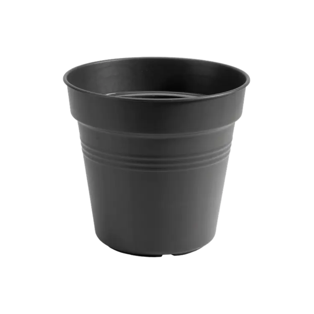 Elho Green Basics kweekpot zwart 11 cm