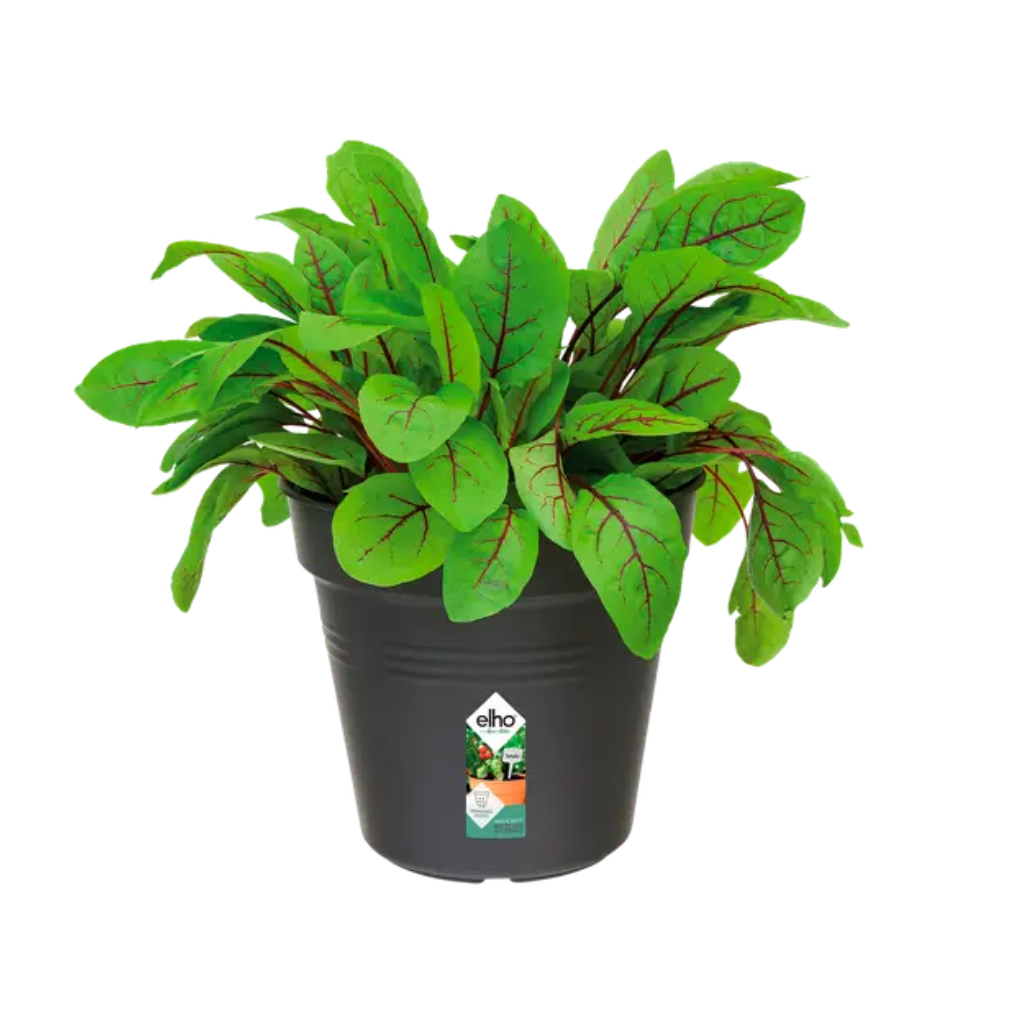Elho Green Basics kweekpot zwart 13 cm