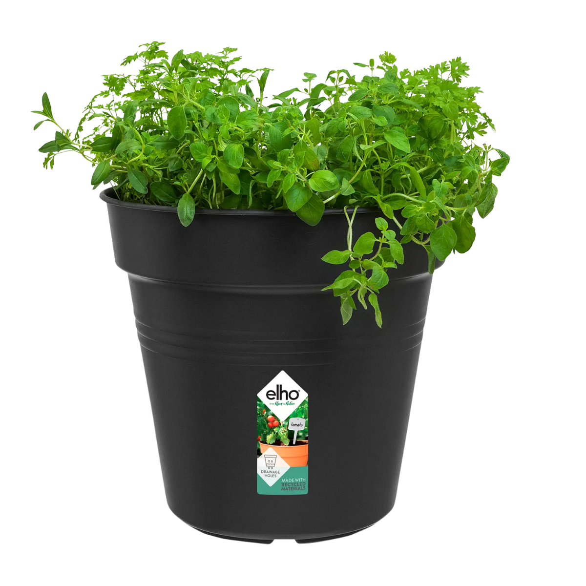 Elho Kweekpot Green Basics Living Black 24 x 22 cm