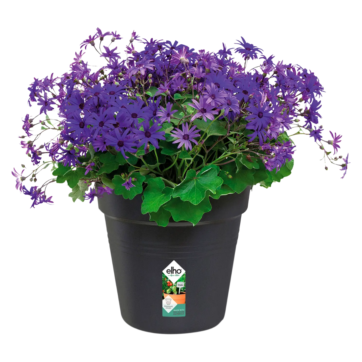 Elho Kweekpot Green Basics Living Black 27 x 25 cm