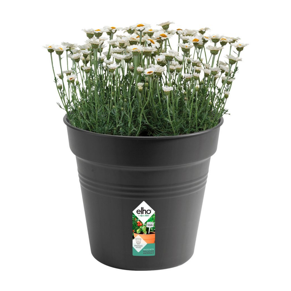 Elho Kweekpot Green Basics Living Black 30 x 28 cm