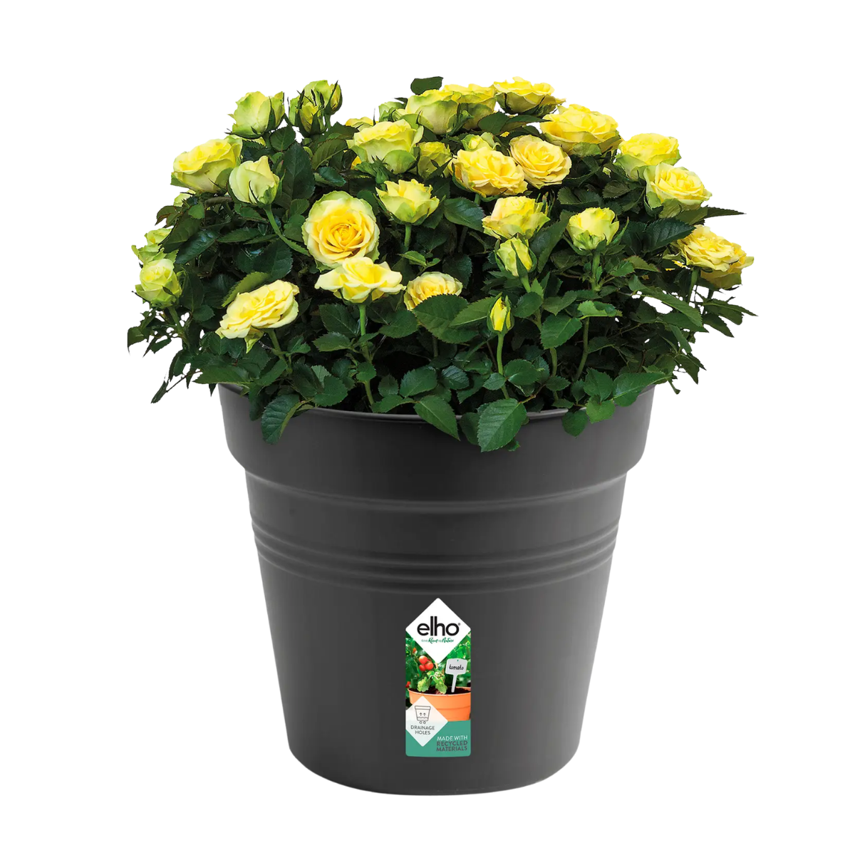 Elho Kweekpot Green Basics Living Black 40 x 37 cm