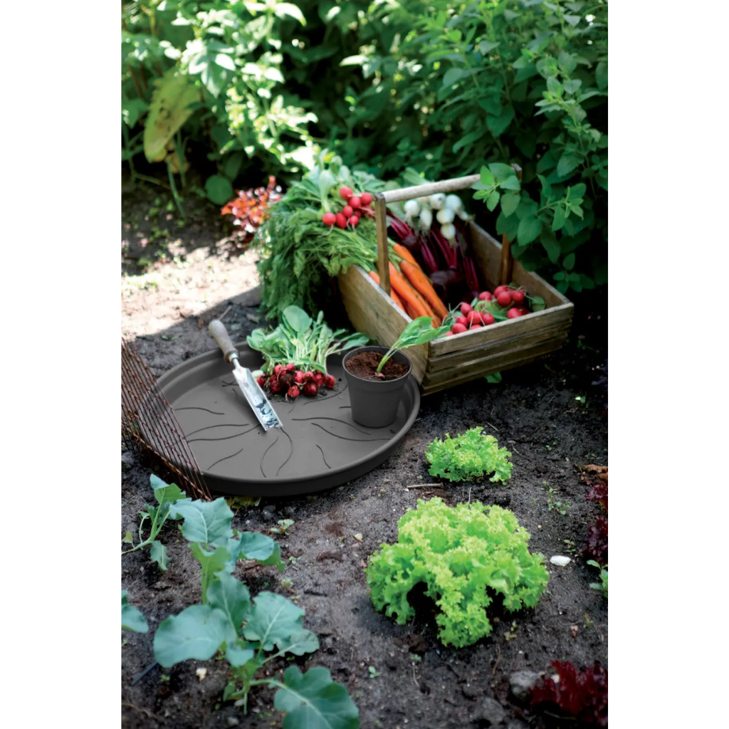 Elho Green Basics schotel zwart 14 cm