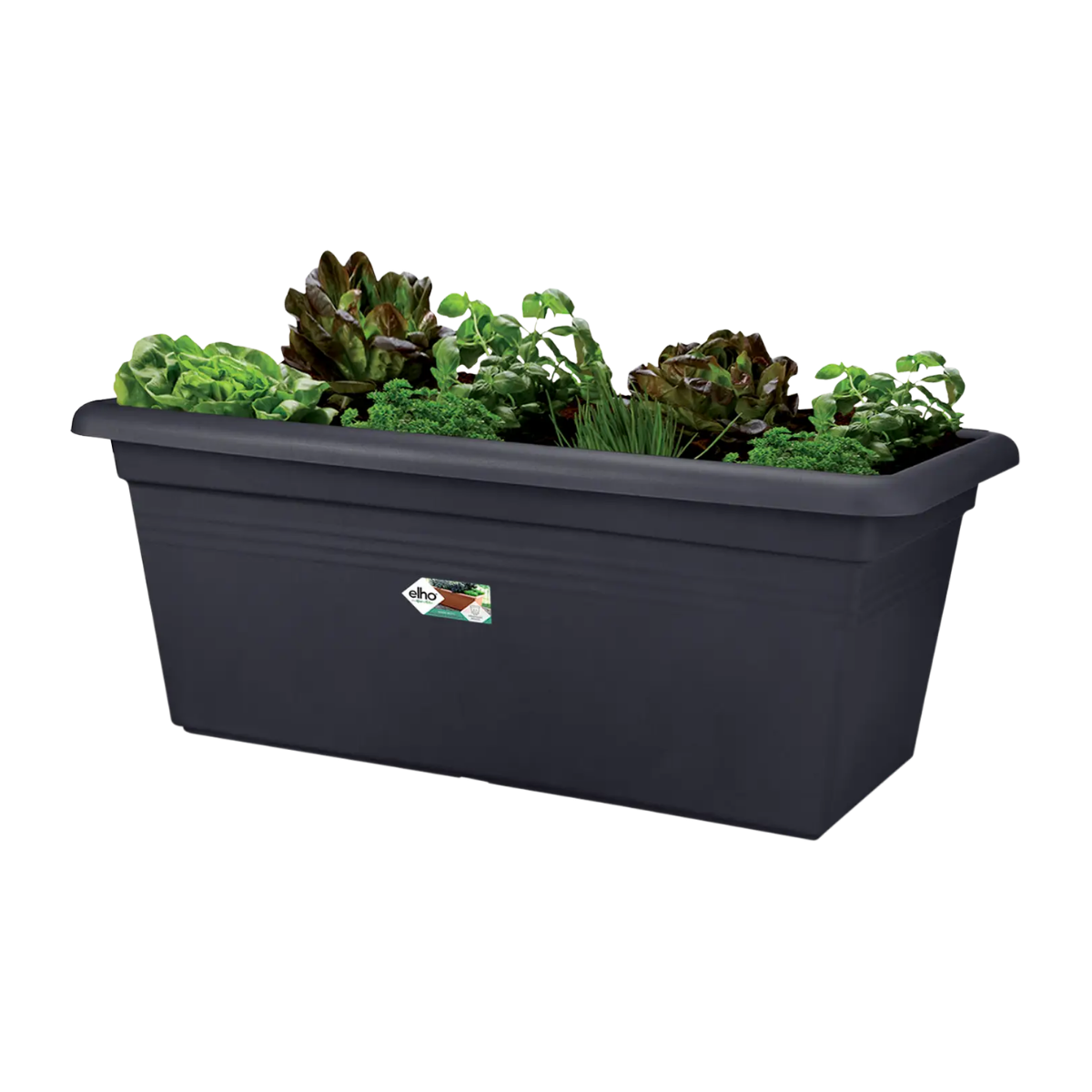 Elho Plantenbak Green Basics Garden XXL Living Black 80 x 39 x 35 cm