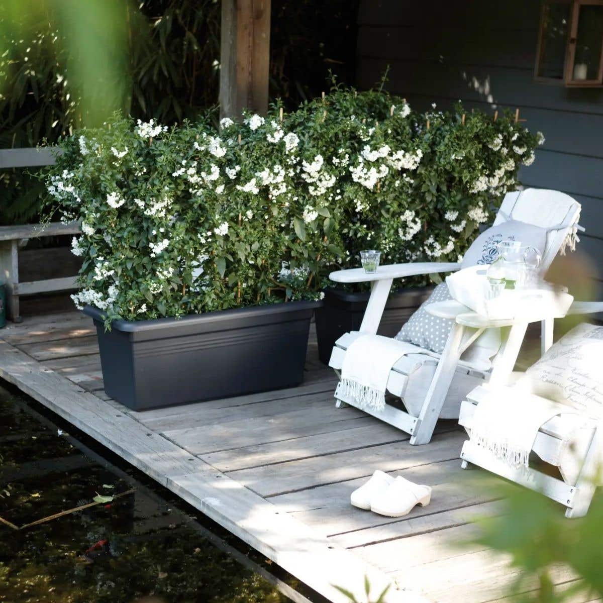 Elho Plantenbak Green Basics Garden XXL Living Black 80 x 39 x 35 cm