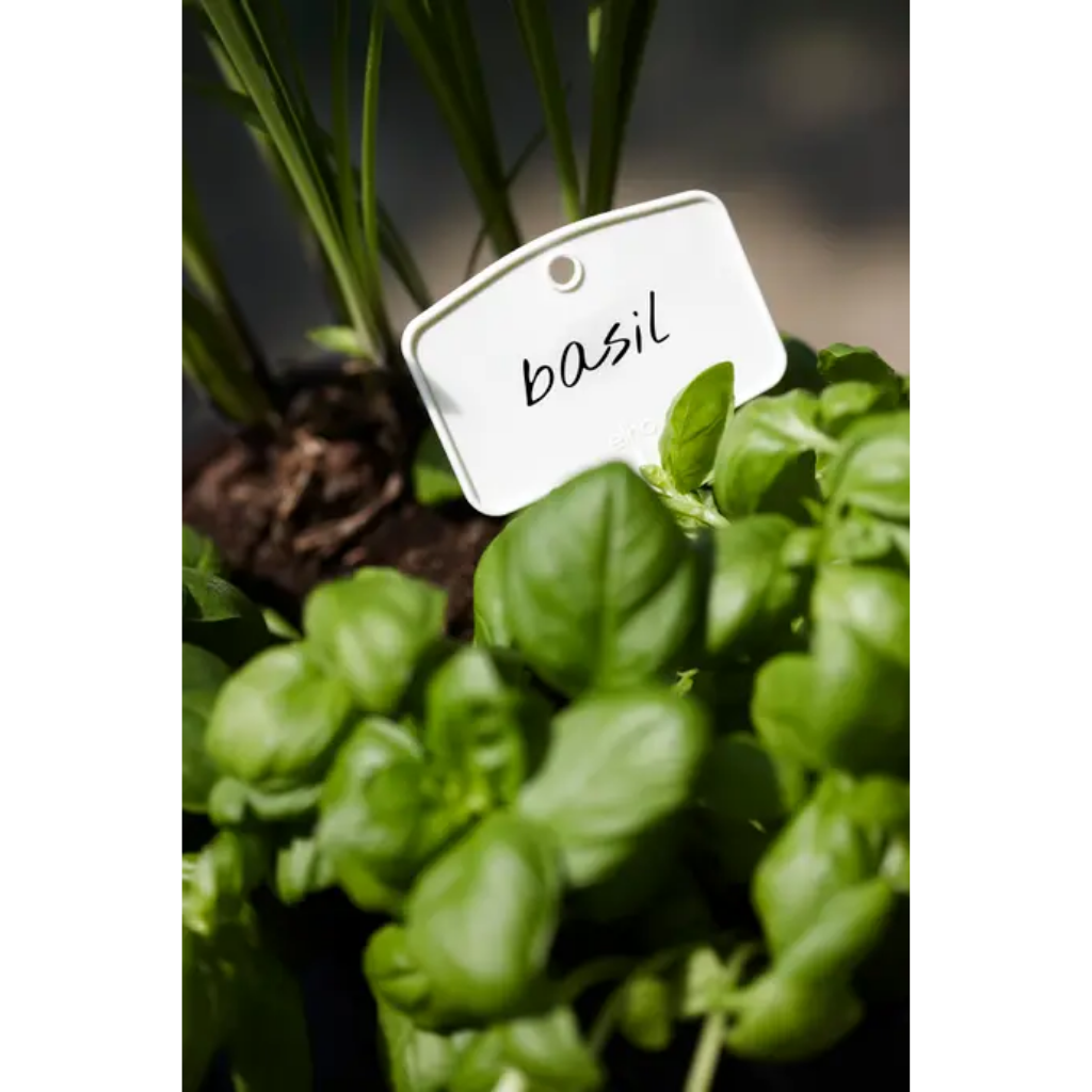 Elho green basics plantlabels S set 5 wit