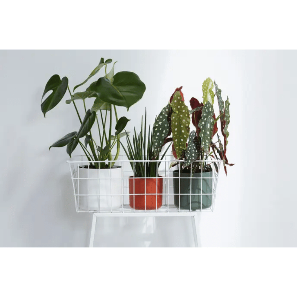 Elho B.For Soft Rond 22cm Wit