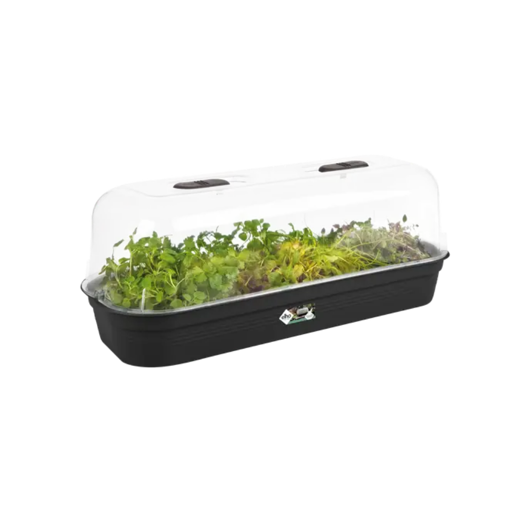 Elho Green Basics Kweektray L Living Black