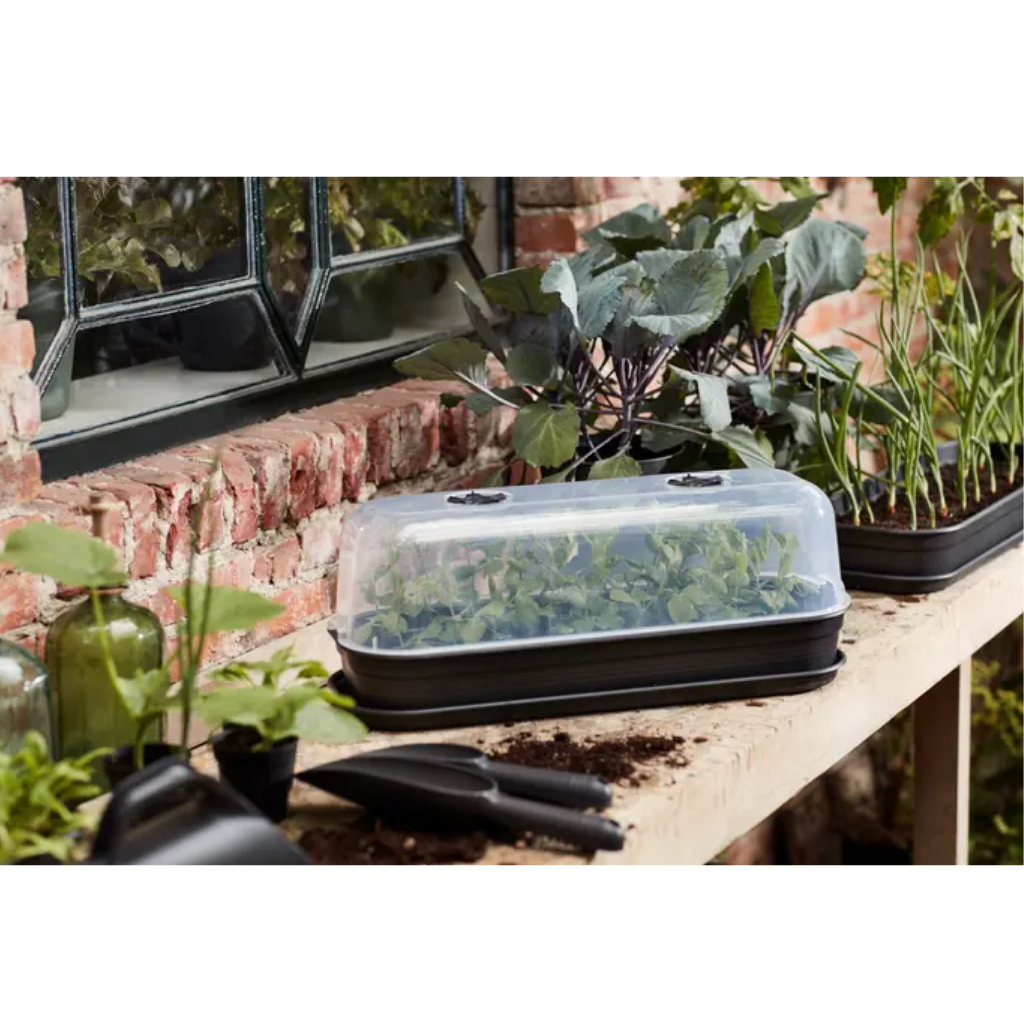 Elho Green Basics Kweektray L Living Black