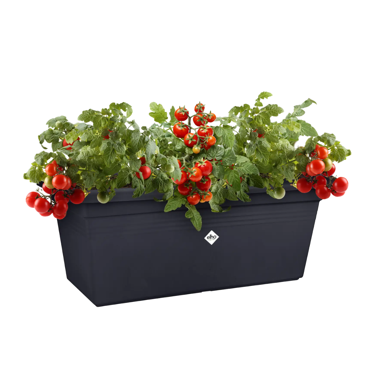 Elho Plantenbak Green Basics Garden XXL Living Black 60 x 29 x 27 cm