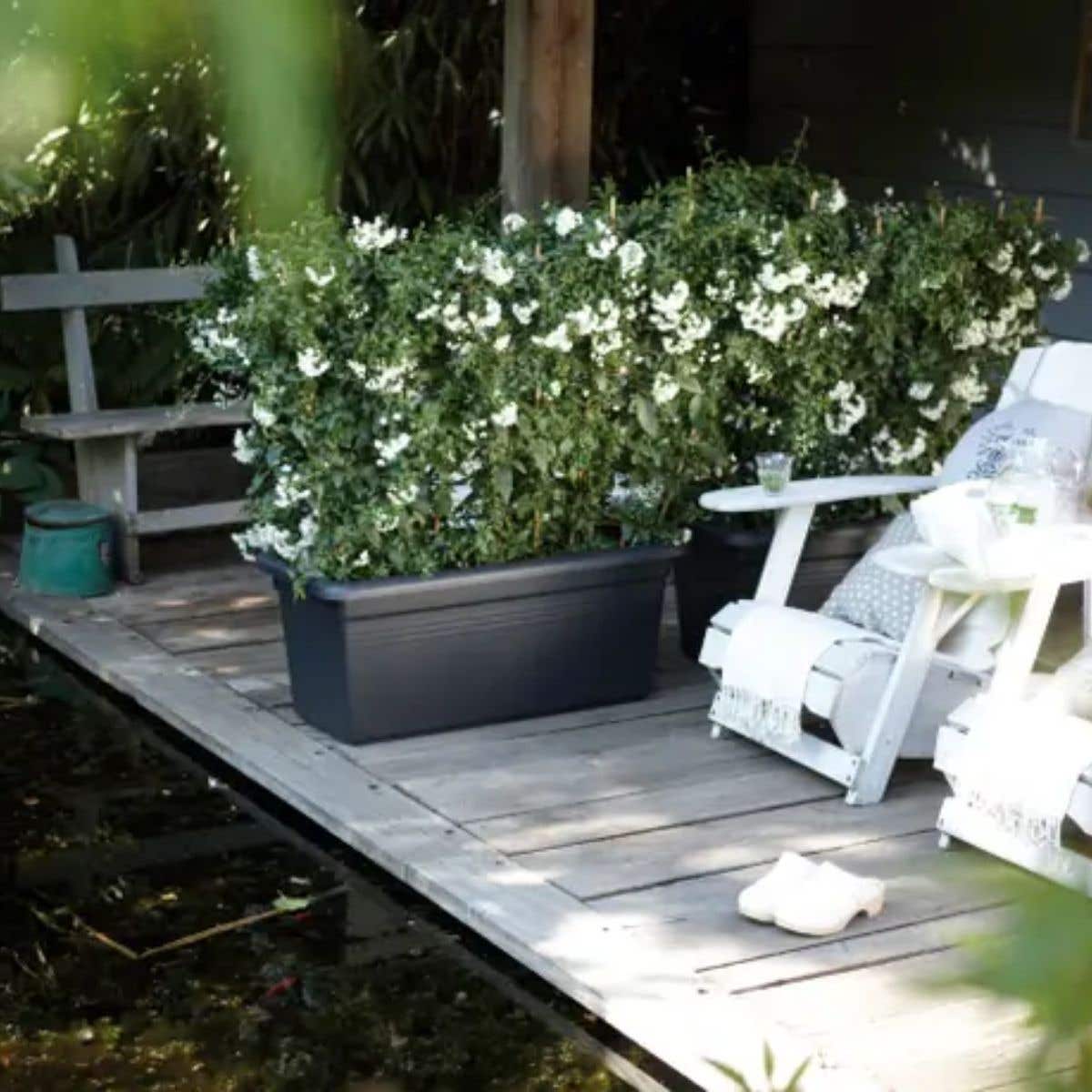Elho Plantenbak Green Basics Garden XXL Living Black 60 x 29 x 27 cm