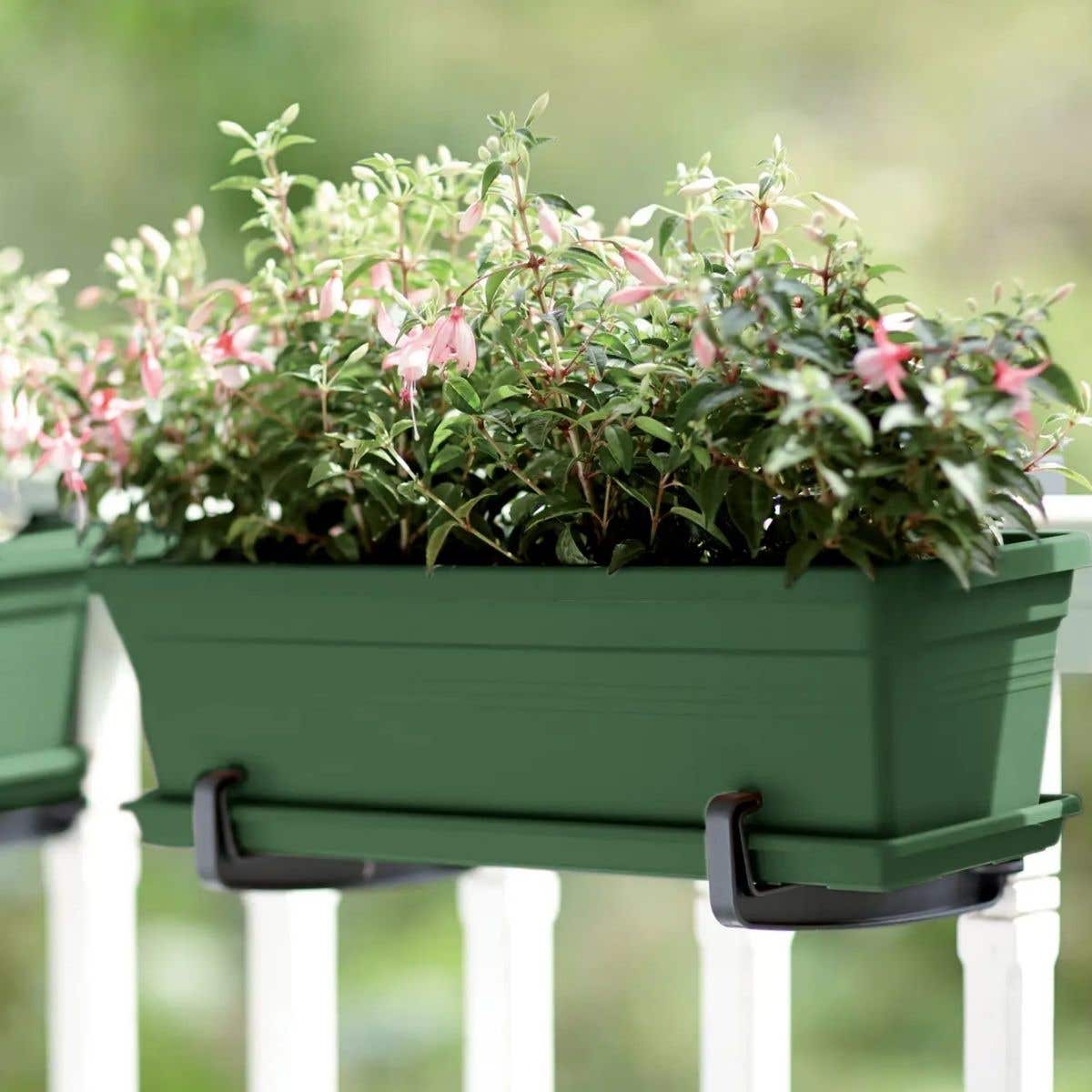 Elho Balkonbak Green Basics Blad Groen 50 x 17 x 14 cm