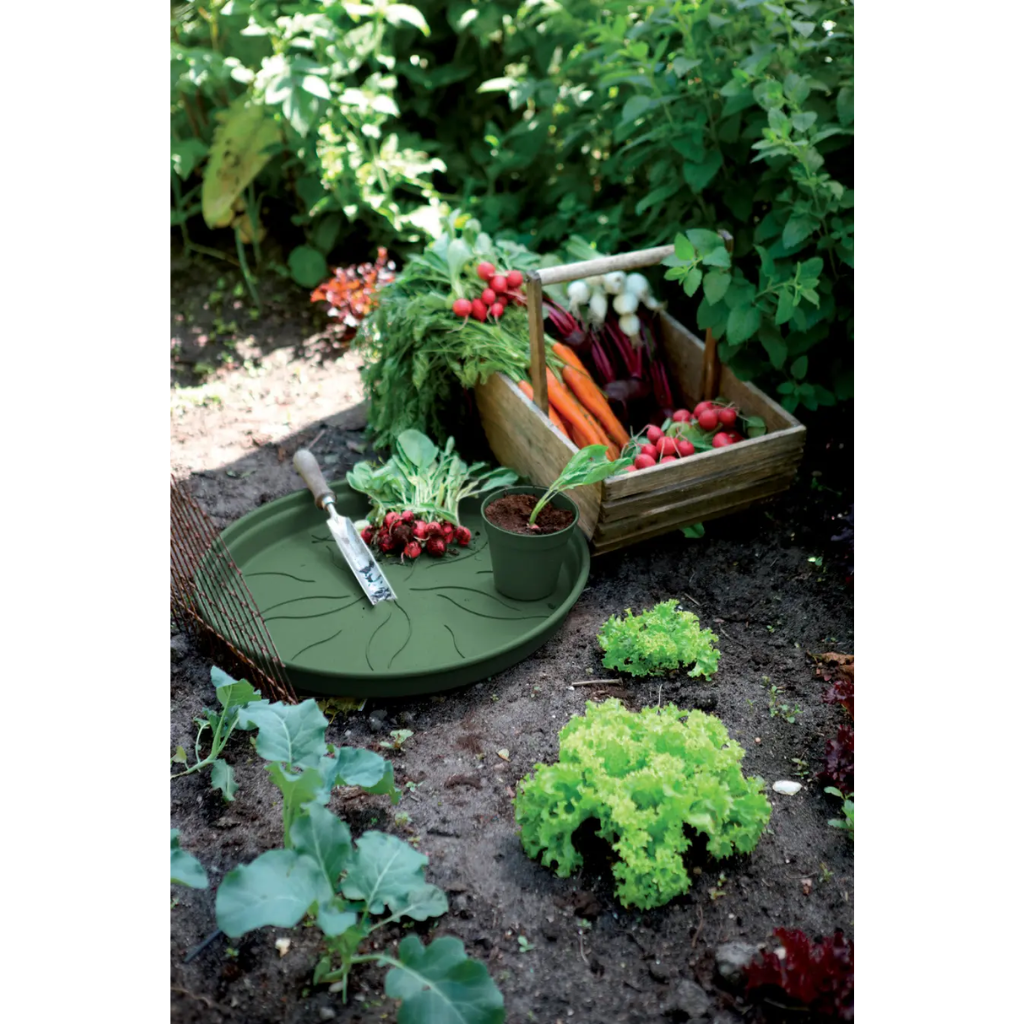 Elho Green Basics schotel groen 14 cm