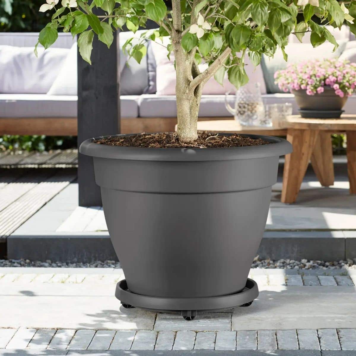 Elho Plantentrolley Universeel Antraciet 38 x 7 cm